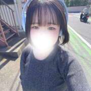 ヒメ日記 2026/10/07 11:38 投稿 ハルジオン 飾窓