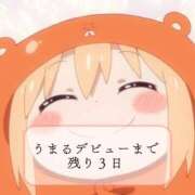 ヒメ日記 2025/05/16 12:27 投稿 ウマル バニーコレクション秋田店