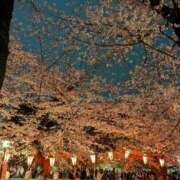 ヒメ日記 2026/04/02 11:25 投稿 たまり ぷるるんギャング