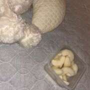 ヒメ日記 2025/09/21 18:22 投稿 れん あふたーすくーる本店