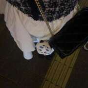 ヒメ日記 2025/10/19 00:32 投稿 れん あふたーすくーる本店