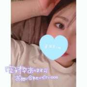 ヒメ日記 2025/05/17 12:20 投稿 よしの ラブ・アンド・ラブ