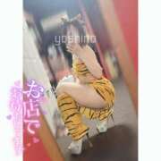 ヒメ日記 2025/05/17 22:10 投稿 よしの ラブ・アンド・ラブ