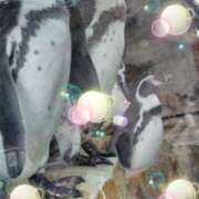 ヒメ日記 2025/09/19 17:06 投稿 白壁 おりえ 夜這い専門 発情する奥様たち梅田店