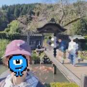 ヒメ日記 2025/11/12 23:16 投稿 白壁 おりえ 夜這い専門 発情する奥様たち梅田店