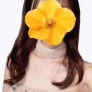 ヒメ日記 2025/10/03 09:00 投稿 なつ 新宿カルテ