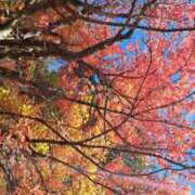 ヒメ日記 2025/11/07 09:59 投稿 AYAME『アヤメ』 GG