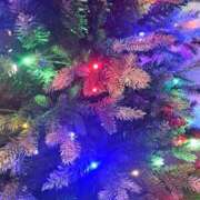 ヒメ日記 2025/12/08 19:29 投稿 AYAME『アヤメ』 GG