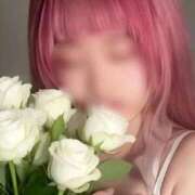 AYAME『アヤメ』 🫶 GG