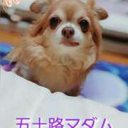 ヒメ日記 2025/05/18 21:44 投稿 朝日奈あい 五十路マダム 新潟店(カサブランカグループ)