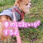 ヒメ日記 2025/05/19 22:04 投稿 朝日奈あい 五十路マダム 新潟店(カサブランカグループ)