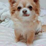 ヒメ日記 2025/05/24 19:56 投稿 朝日奈あい 五十路マダム 新潟店(カサブランカグループ)