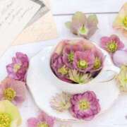 ヒメ日記 2025/05/29 15:36 投稿 朝日奈あい 五十路マダム 新潟店(カサブランカグループ)