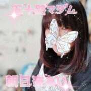 ヒメ日記 2025/06/08 19:12 投稿 朝日奈あい 五十路マダム 新潟店(カサブランカグループ)