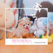 ヒメ日記 2025/06/21 09:04 投稿 朝日奈あい 五十路マダム 新潟店(カサブランカグループ)