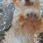 ヒメ日記 2025/07/13 22:34 投稿 朝日奈あい 五十路マダム 新潟店(カサブランカグループ)