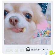 ヒメ日記 2025/08/09 19:12 投稿 朝日奈あい 五十路マダム 新潟店(カサブランカグループ)