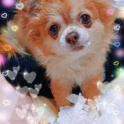 ヒメ日記 2025/08/12 21:10 投稿 朝日奈あい 五十路マダム 新潟店(カサブランカグループ)