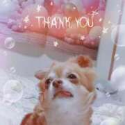 ヒメ日記 2025/08/19 18:56 投稿 朝日奈あい 五十路マダム 新潟店(カサブランカグループ)