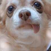 ヒメ日記 2025/09/22 20:26 投稿 朝日奈あい 五十路マダム 新潟店(カサブランカグループ)