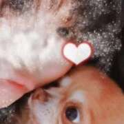 ヒメ日記 2025/09/24 12:44 投稿 朝日奈あい 五十路マダム 新潟店(カサブランカグループ)