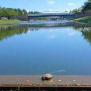 ヒメ日記 2025/09/30 16:12 投稿 朝日奈あい 五十路マダム 新潟店(カサブランカグループ)