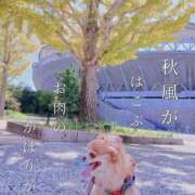 ヒメ日記 2025/10/09 17:08 投稿 朝日奈あい 五十路マダム 新潟店(カサブランカグループ)