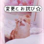 ヒメ日記 2025/10/15 09:34 投稿 朝日奈あい 五十路マダム 新潟店(カサブランカグループ)