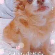 ヒメ日記 2025/10/30 23:48 投稿 朝日奈あい 五十路マダム 新潟店(カサブランカグループ)