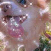 ヒメ日記 2025/11/22 01:02 投稿 朝日奈あい 五十路マダム 新潟店(カサブランカグループ)