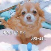 ヒメ日記 2025/11/24 22:18 投稿 朝日奈あい 五十路マダム 新潟店(カサブランカグループ)