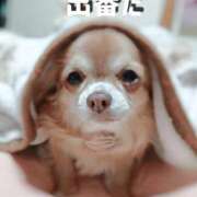 ヒメ日記 2025/11/26 18:50 投稿 朝日奈あい 五十路マダム 新潟店(カサブランカグループ)