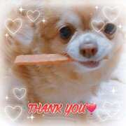 ヒメ日記 2025/12/18 07:32 投稿 朝日奈あい 五十路マダム 新潟店(カサブランカグループ)