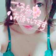 ヒメ日記 2025/05/13 16:00 投稿 さえこ 奥様なでしこ