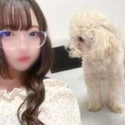 ヒメ日記 2025/05/31 08:04 投稿 かずは ふわふわコレクション