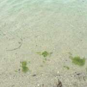 ヒメ日記 2025/05/14 18:57 投稿 みさと 群馬伊勢崎ちゃんこ