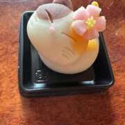 ヒメ日記 2025/05/20 01:37 投稿 みさと 群馬伊勢崎ちゃんこ