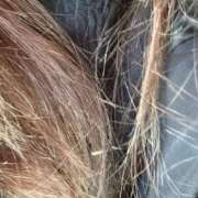 ヒメ日記 2026/02/22 14:47 投稿 みさと 群馬伊勢崎ちゃんこ