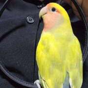 ヒメ日記 2025/06/26 18:49 投稿 いのり 激安ピーチ