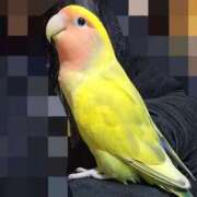 ヒメ日記 2025/10/06 13:49 投稿 いのり 激安ピーチ