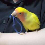 ヒメ日記 2025/10/24 18:19 投稿 いのり 激安ピーチ