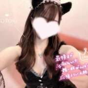 ヒメ日記 2025/11/01 11:50 投稿 ことり　濃厚な密着感と恋人空間 FAIRY Fukuoka Nakasu