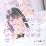 ヒメ日記 2025/11/14 19:26 投稿 ことり　濃厚な密着感と恋人空間 FAIRY Fukuoka Nakasu