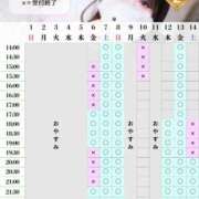 ヒメ日記 2026/02/01 14:50 投稿 ことり　濃厚な密着感と恋人空間 FAIRY Fukuoka Nakasu