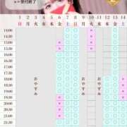 ヒメ日記 2026/02/06 12:20 投稿 ことり　濃厚な密着感と恋人空間 FAIRY Fukuoka Nakasu