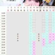 ヒメ日記 2026/03/08 12:23 投稿 ことり　濃厚な密着感と恋人空間 FAIRY Fukuoka Nakasu