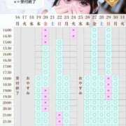 ヒメ日記 2026/03/19 12:23 投稿 ことり　濃厚な密着感と恋人空間 FAIRY Fukuoka Nakasu