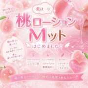 ヒメ日記 2026/05/07 09:43 投稿 ことり　濃厚な密着感と恋人空間 FAIRY Fukuoka Nakasu