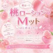 ヒメ日記 2026/05/16 09:43 投稿 ことり　濃厚な密着感と恋人空間 FAIRY Fukuoka Nakasu