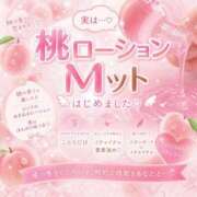 ヒメ日記 2026/05/20 09:43 投稿 ことり　濃厚な密着感と恋人空間 FAIRY Fukuoka Nakasu